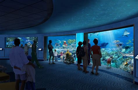 baltimore aquarium free admission